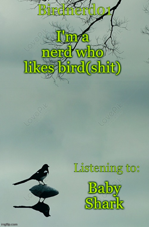 Real | I'm a nerd who likes bird(shit); Baby Shark | image tagged in birdnerd01 announcement template | made w/ Imgflip meme maker
