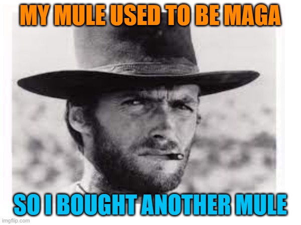 MY MULE USED TO BE MAGA SO I BOUGHT ANOTHER MULE | made w/ Imgflip meme maker