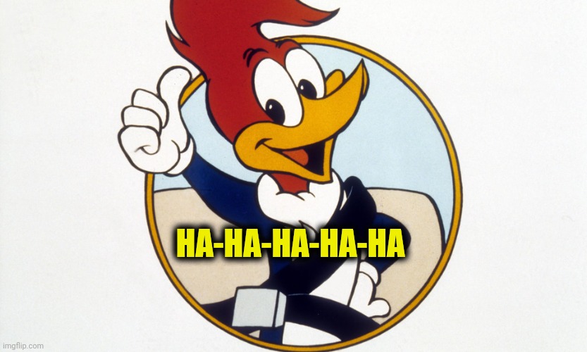 Woody Woodpecker | HA-HA-HA-HA-HA | image tagged in woody woodpecker | made w/ Imgflip meme maker