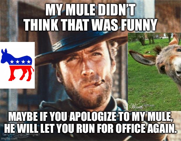MY MULE DIDN’T THINK THAT WAS FUNNY MAYBE IF YOU APOLOGIZE TO MY MULE, HE WILL LET YOU RUN FOR OFFICE AGAIN. | made w/ Imgflip meme maker