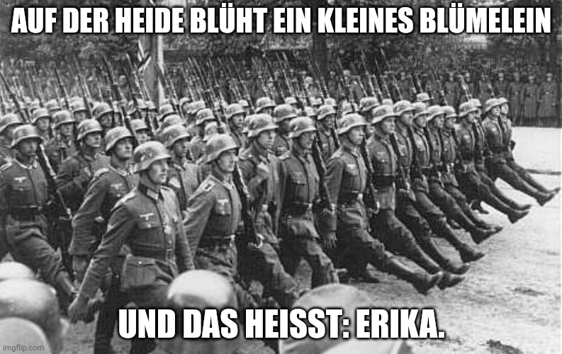 Watch Elizabeth and Dawn get ticked off now | AUF DER HEIDE BLÜHT EIN KLEINES BLÜMELEIN; UND DAS HEISST: ERIKA. | image tagged in german soldiers marching | made w/ Imgflip meme maker