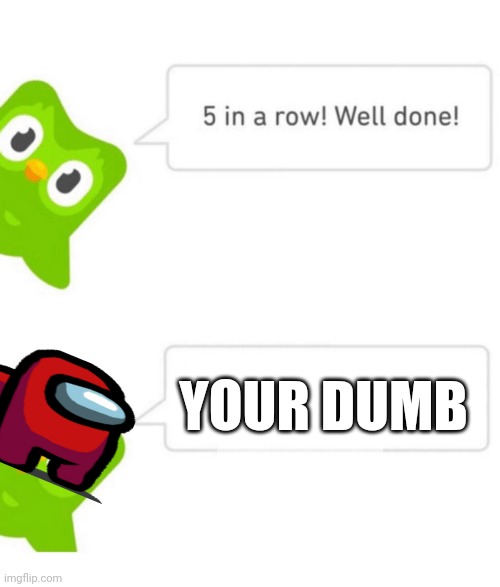 Duolingo sus | YOUR DUMB | image tagged in duolingo 5 in a row | made w/ Imgflip meme maker