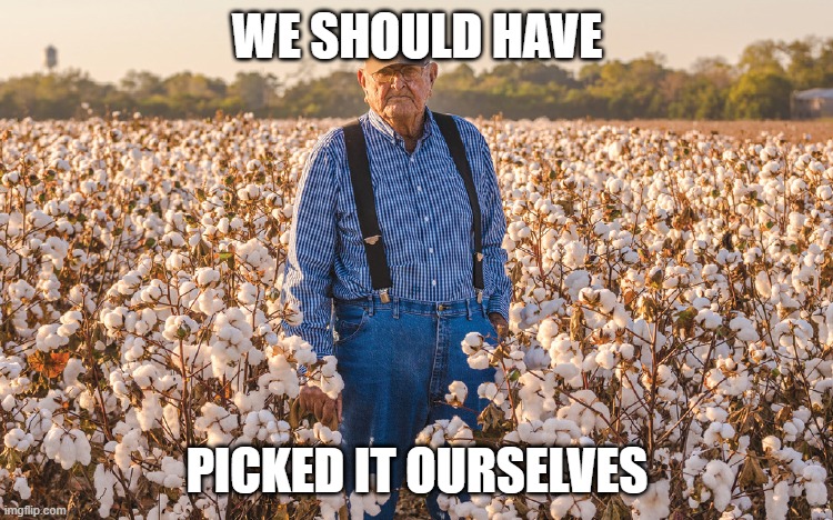 cotton farmer | WE SHOULD HAVE; PICKED IT OURSELVES | image tagged in bad decisions | made w/ Imgflip meme maker