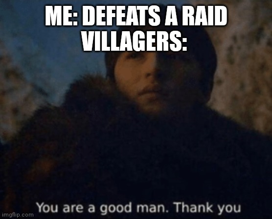 Me the hero | ME: DEFEATS A RAID
VILLAGERS: | image tagged in you are a good man thank you | made w/ Imgflip meme maker