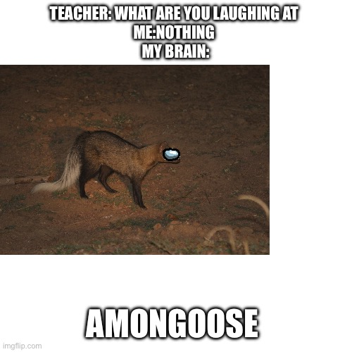 TEACHER: WHAT ARE YOU LAUGHING AT 
ME:NOTHING 
MY BRAIN:; AMONGOOSE | made w/ Imgflip meme maker