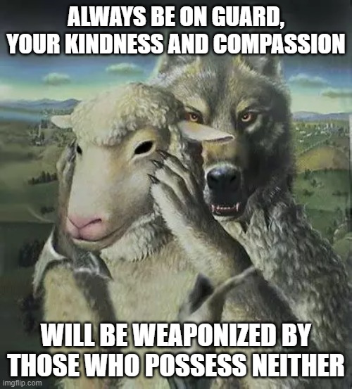 ALWAYS BE ON GUARD, YOUR KINDNESS AND COMPASSION; WILL BE WEAPONIZED BY THOSE WHO POSSESS NEITHER | image tagged in wolf in sheep's clothing,kindness | made w/ Imgflip meme maker