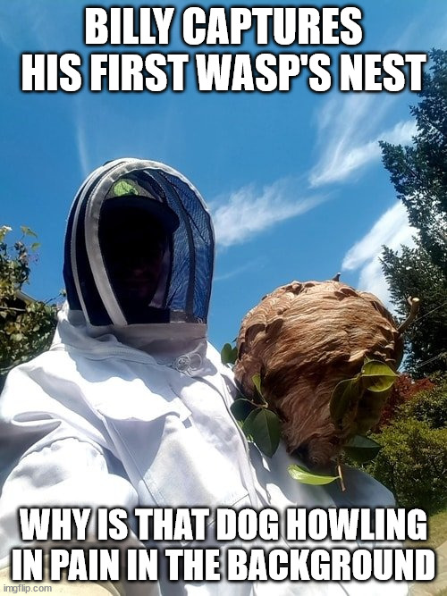 Billy's First Trophy | BILLY CAPTURES HIS FIRST WASP'S NEST; WHY IS THAT DOG HOWLING IN PAIN IN THE BACKGROUND | image tagged in wasp hunter,wasp,nest,bees,dogs,billy what have you done | made w/ Imgflip meme maker