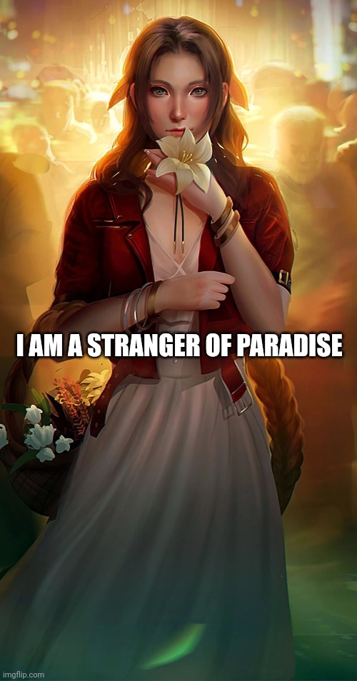 Stranger of Paradise on Earth | I AM A STRANGER OF PARADISE | image tagged in spirituality,paradise,faith,purpose,love,inspirational | made w/ Imgflip meme maker