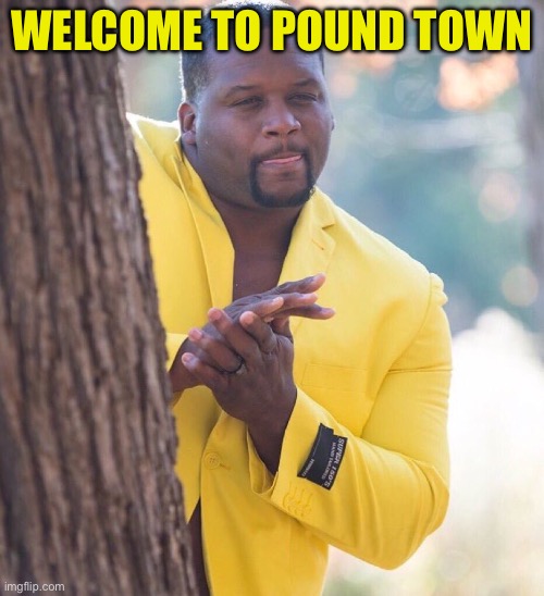 Black guy hiding behind tree | WELCOME TO POUND TOWN | image tagged in black guy hiding behind tree | made w/ Imgflip meme maker
