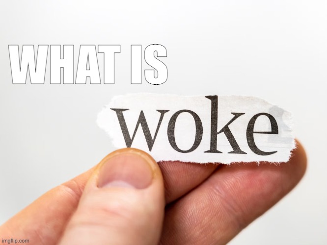 What is WOKE | WHAT IS | made w/ Imgflip meme maker