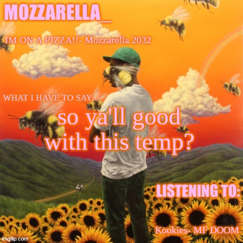 i really wanna know | so ya'll good with this temp? Kookies- MF DOOM | image tagged in flower boy | made w/ Imgflip meme maker