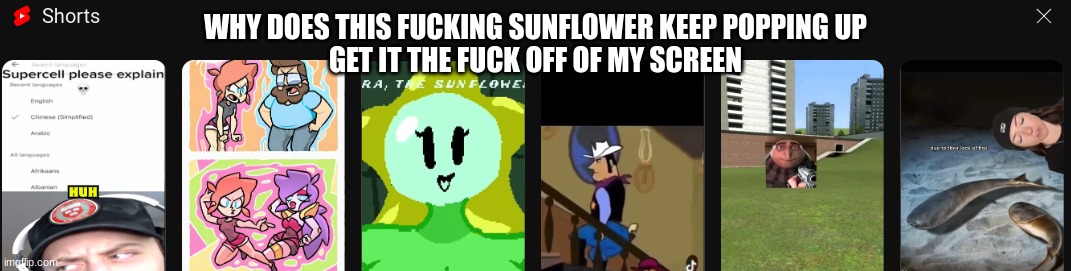 WHY DOES THIS FUCKING SUNFLOWER KEEP POPPING UP
GET IT THE FUCK OFF OF MY SCREEN | made w/ Imgflip meme maker