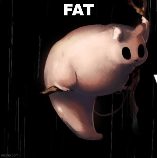 rotund creature | FAT | image tagged in rotund creature | made w/ Imgflip meme maker