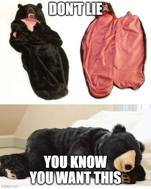 Bear PJ's | DON'T LIE; YOU KNOW YOU WANT THIS | image tagged in bear pj's,hibernate,nap | made w/ Imgflip meme maker