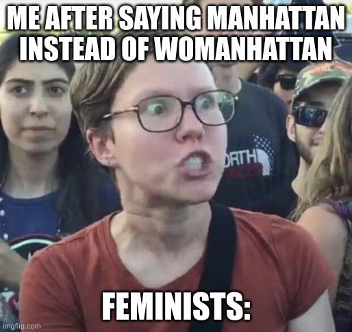 i just wanna see the empire state building | ME AFTER SAYING MANHATTAN INSTEAD OF WOMANHATTAN; FEMINISTS: | image tagged in triggered feminist,funny,funny memes,memes | made w/ Imgflip meme maker