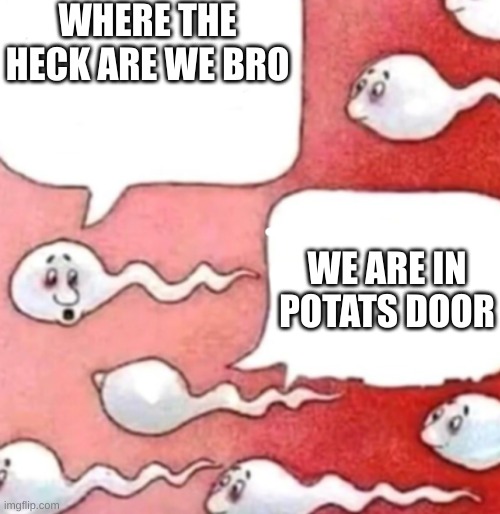 @potat | WHERE THE HECK ARE WE BRO; WE ARE IN POTATS DOOR | image tagged in sperm conversation | made w/ Imgflip meme maker