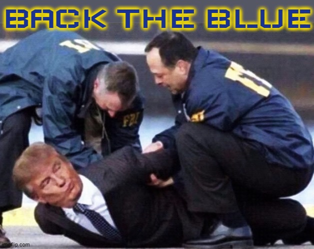 BACK THE BLUE | BACK THE BLUE | image tagged in back the blue,blue lives matter,police,cops,law enforcement,justice | made w/ Imgflip meme maker