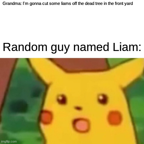 Uh oh. Poor Liam. | Grandma: I'm gonna cut some liams off the dead tree in the front yard; Random guy named Liam: | image tagged in memes,surprised pikachu | made w/ Imgflip meme maker