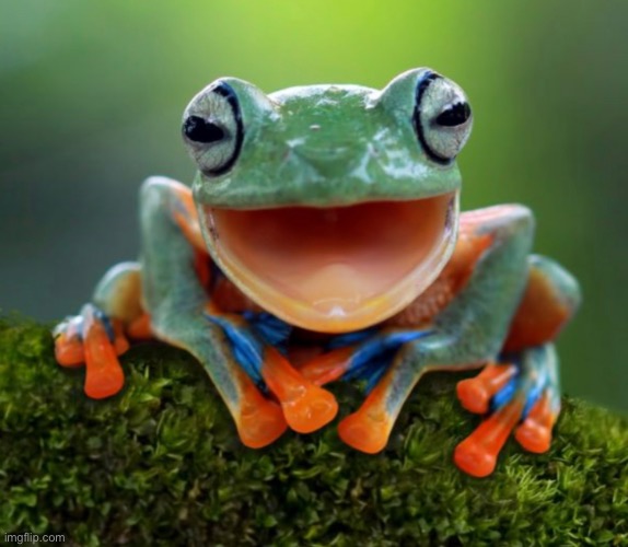 Happy frog | made w/ Imgflip meme maker