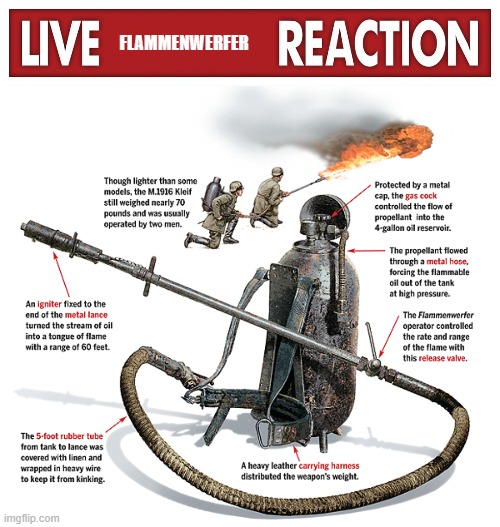 FLAMMENWERFER | image tagged in live x reaction | made w/ Imgflip meme maker