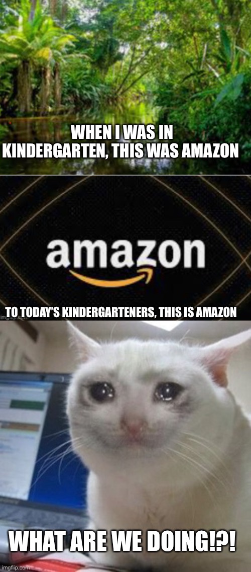Sad sad sad sad sad sad….. | WHEN I WAS IN KINDERGARTEN, THIS WAS AMAZON; TO TODAY’S KINDERGARTENERS, THIS IS AMAZON; WHAT ARE WE DOING!?! | image tagged in crying cat | made w/ Imgflip meme maker