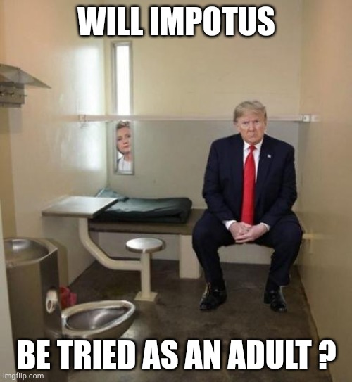 pab | WILL IMPOTUS; BE TRIED AS AN ADULT ? | image tagged in locked up,pab | made w/ Imgflip meme maker