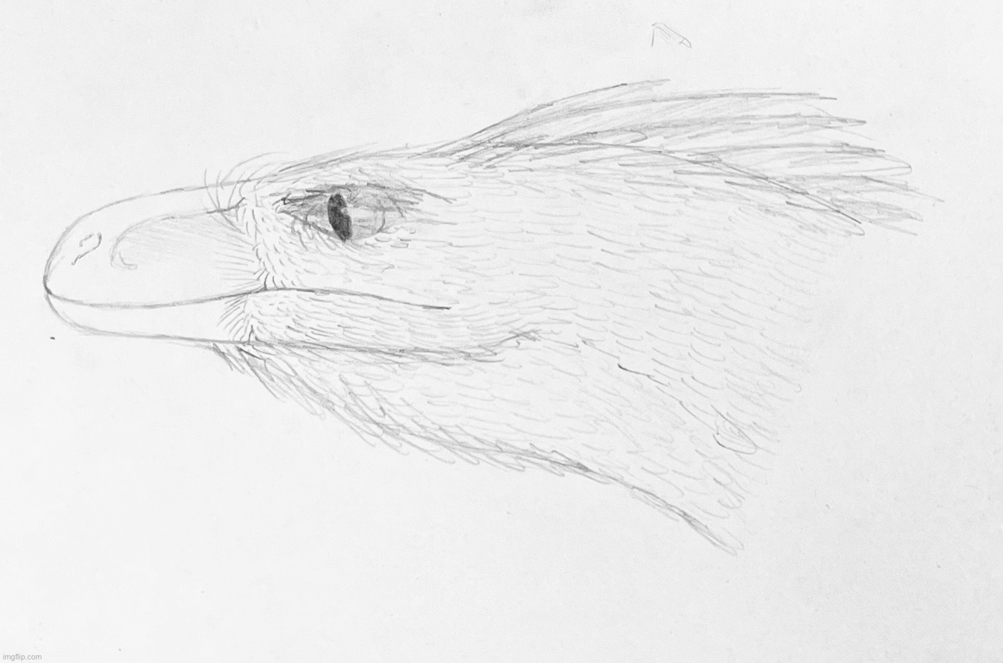 Utahraptor doodle closeup | image tagged in that's the neat part you don't | made w/ Imgflip meme maker