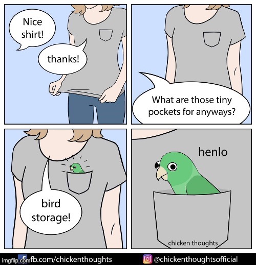 Birb comic: bird storage | image tagged in comics | made w/ Imgflip meme maker