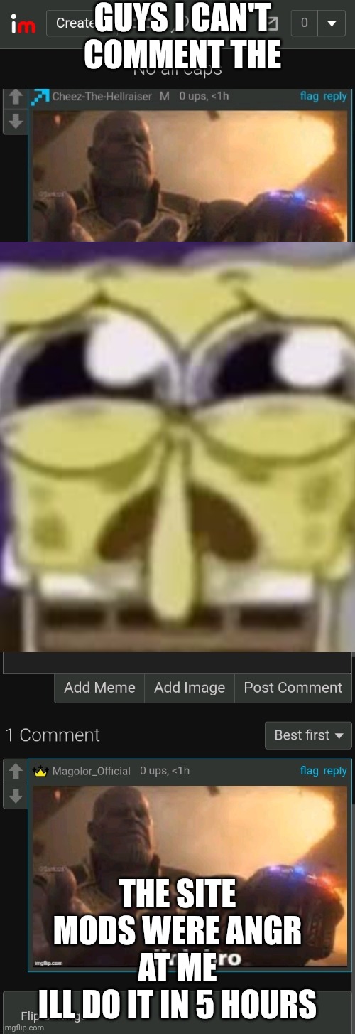 Just wait plz :'( | GUYS I CAN'T COMMENT THE; THE SITE MODS WERE ANGR AT ME
ILL DO IT IN 5 HOURS | image tagged in zad | made w/ Imgflip meme maker