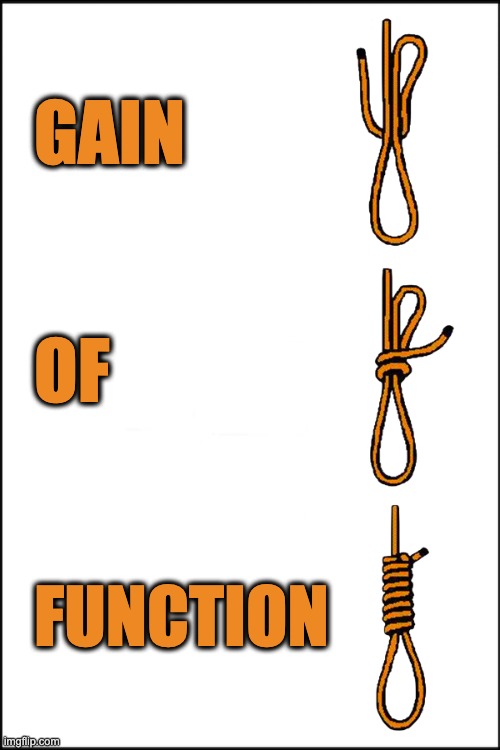 New Research for Dr. Fauci | GAIN; OF; FUNCTION | image tagged in fauci,covid,gain of function | made w/ Imgflip meme maker