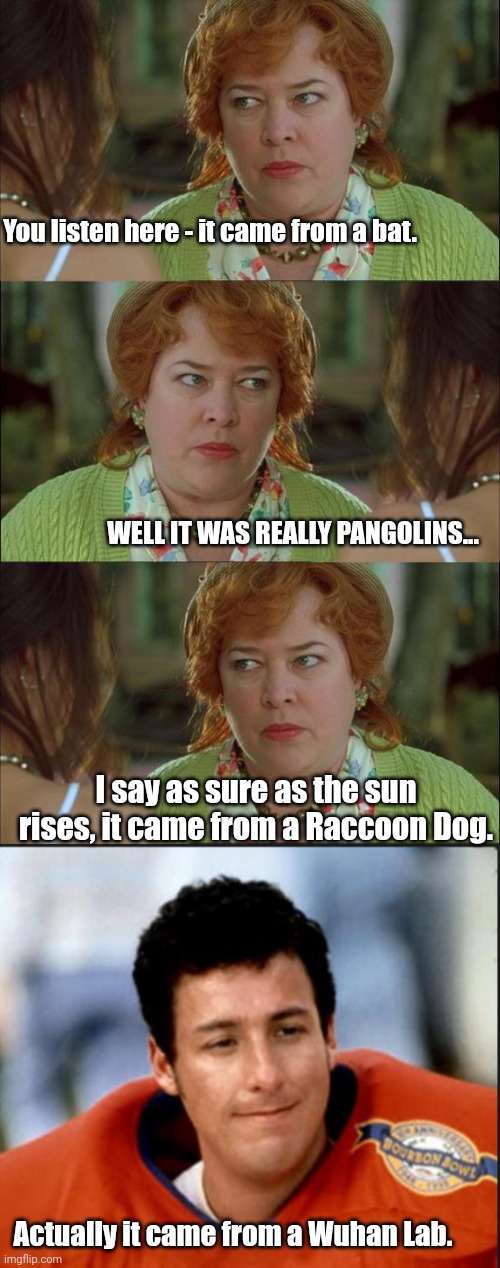 You listen here - it came from a bat. WELL IT WAS REALLY PANGOLINS... I say as sure as the sun rises, it came from a Raccoon Dog. Actually it came from a Wuhan Lab. | image tagged in waterboy kathy bates devil,the waterboy | made w/ Imgflip meme maker