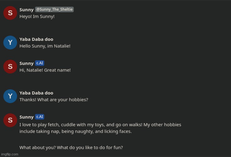 chatting with Sunny xD | image tagged in ai,artificial intelligence,chatbot,furry,the furry fandom | made w/ Imgflip meme maker