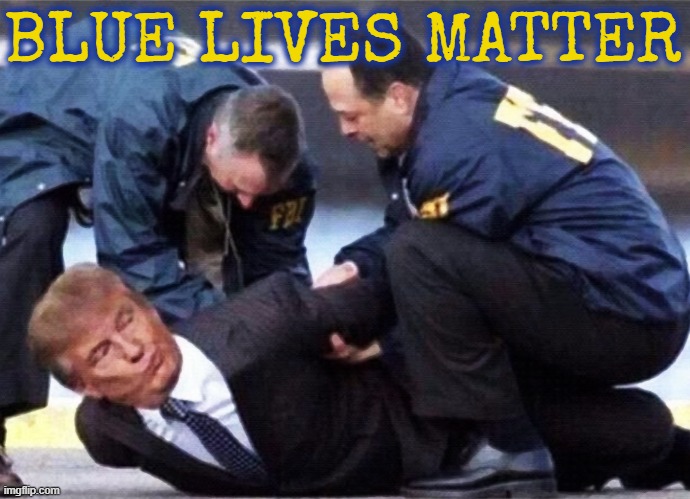 BLUE LIVES MATTER | BLUE LIVES MATTER | image tagged in blue lives matter,back the blue,police,cops,law enforcement,america | made w/ Imgflip meme maker