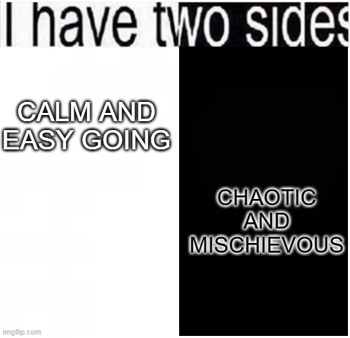 my 2 sides | CHAOTIC AND MISCHIEVOUS; CALM AND EASY GOING | image tagged in i have two sides,memes,true story,fun,personality,cucumbers | made w/ Imgflip meme maker