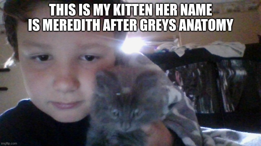 cat | THIS IS MY KITTEN HER NAME IS MEREDITH AFTER GREYS ANATOMY | image tagged in cute kittens | made w/ Imgflip meme maker