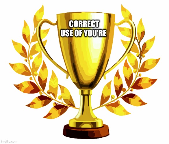 You Win! | CORRECT USE OF YOU’RE | image tagged in you win | made w/ Imgflip meme maker