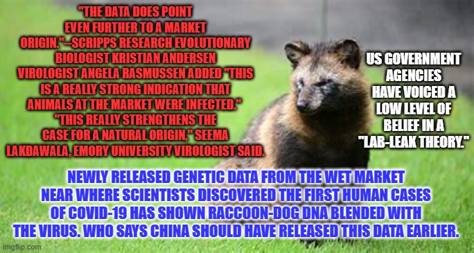 Conspiracy theories are more fun to believe, than science. | "THE DATA DOES POINT EVEN FURTHER TO A MARKET ORIGIN."--SCRIPPS RESEARCH EVOLUTIONARY BIOLOGIST KRISTIAN ANDERSEN
VIROLOGIST ANGELA RASMUSSEN ADDED "THIS IS A REALLY STRONG INDICATION THAT ANIMALS AT THE MARKET WERE INFECTED." 
"THIS REALLY STRENGTHENS THE CASE FOR A NATURAL ORIGIN," SEEMA LAKDAWALA, EMORY UNIVERSITY VIROLOGIST SAID. US GOVERNMENT AGENCIES HAVE VOICED A LOW LEVEL OF BELIEF IN A "LAB-LEAK THEORY."; NEWLY RELEASED GENETIC DATA FROM THE WET MARKET NEAR WHERE SCIENTISTS DISCOVERED THE FIRST HUMAN CASES OF COVID-19 HAS SHOWN RACCOON-DOG DNA BLENDED WITH THE VIRUS. WHO SAYS CHINA SHOULD HAVE RELEASED THIS DATA EARLIER. | image tagged in politics | made w/ Imgflip meme maker