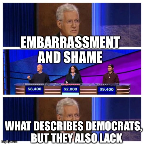 Democrats, what is shameless and embarrassing. Alex | EMBARRASSMENT AND SHAME; WHAT DESCRIBES DEMOCRATS,    BUT THEY ALSO LACK | image tagged in democrats,embarrassing,shameless,incompetence,biden | made w/ Imgflip meme maker