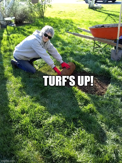 Turf's up | TURF'S UP! | image tagged in touch grass | made w/ Imgflip meme maker