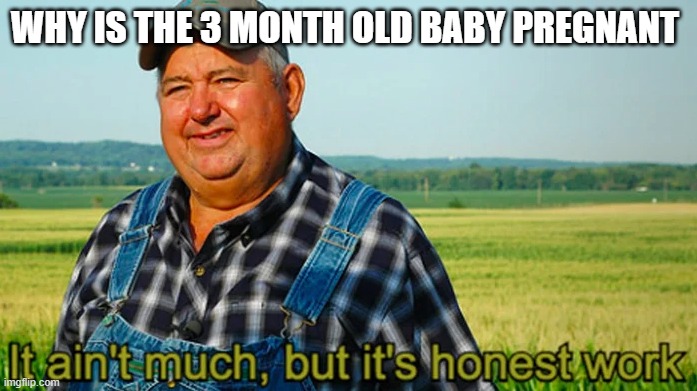 It ain't much but it's honest work | WHY IS THE 3 MONTH OLD BABY PREGNANT | image tagged in it ain't much but it's honest work | made w/ Imgflip meme maker