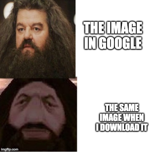 I swear the amount of pixels in said image just increases | THE IMAGE IN GOOGLE; THE SAME IMAGE WHEN I DOWNLOAD IT | image tagged in hagrid comparison,google images,image,images,download,why are you reading this | made w/ Imgflip meme maker