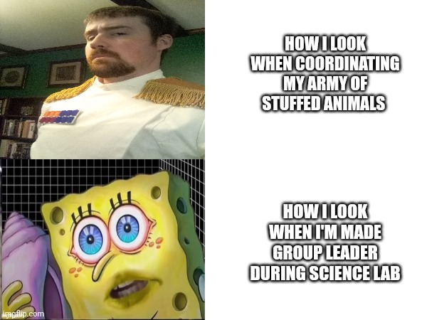 I'm much more professional when my underlings can't actually fight against me | HOW I LOOK WHEN COORDINATING MY ARMY OF STUFFED ANIMALS; HOW I LOOK WHEN I'M MADE GROUP LEADER DURING SCIENCE LAB | image tagged in signature look of superiority,spongebob,memes | made w/ Imgflip meme maker