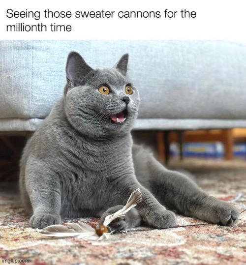 image tagged in memes,funny | made w/ Imgflip meme maker