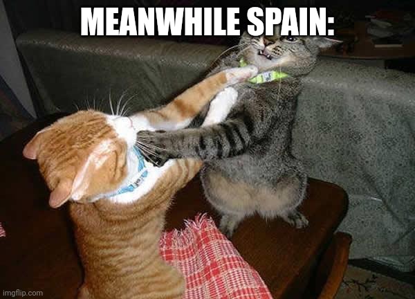 Two cats fighting for real | MEANWHILE SPAIN: | image tagged in two cats fighting for real | made w/ Imgflip meme maker