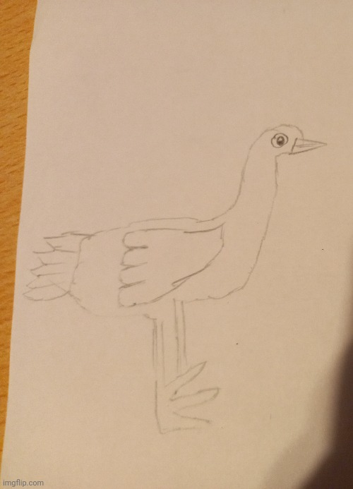 Bird drawing that I made | image tagged in bird,drawing | made w/ Imgflip meme maker