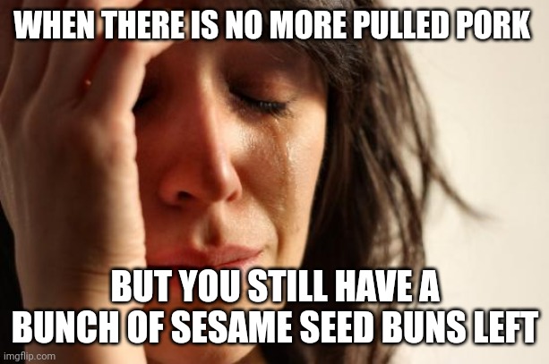 No more BBQ??? | WHEN THERE IS NO MORE PULLED PORK; BUT YOU STILL HAVE A BUNCH OF SESAME SEED BUNS LEFT | image tagged in memes,first world problems | made w/ Imgflip meme maker