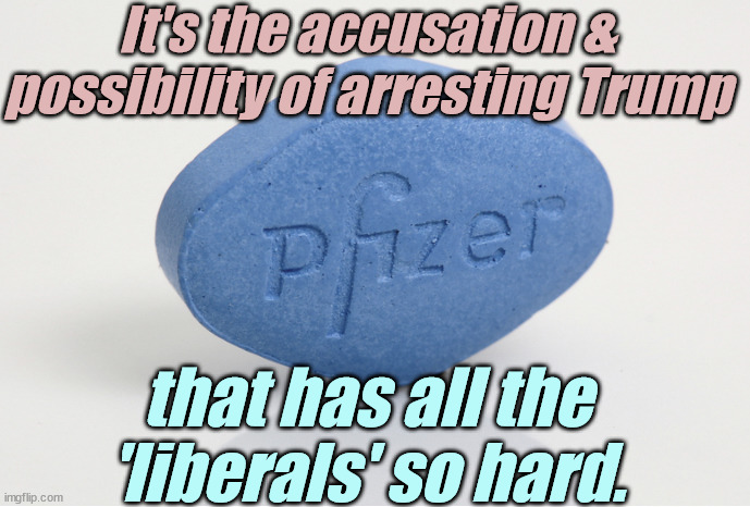They don't care about the case. It's already been dismissed by better lawyers. | It's the accusation & possibility of arresting Trump; that has all the 'liberals' so hard. | image tagged in liberals,democrats,lgbtq,blm,antifa,criminals | made w/ Imgflip meme maker