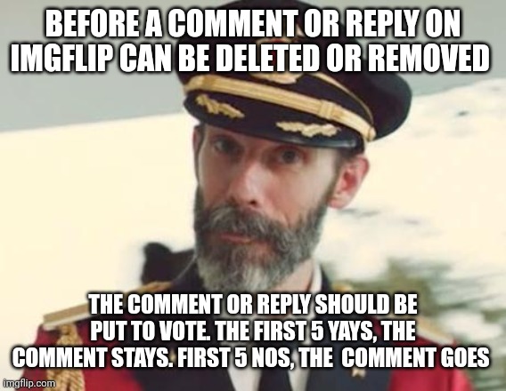 Captain Obvious | BEFORE A COMMENT OR REPLY ON IMGFLIP CAN BE DELETED OR REMOVED; THE COMMENT OR REPLY SHOULD BE PUT TO VOTE. THE FIRST 5 YAYS, THE COMMENT STAYS. FIRST 5 NOS, THE  COMMENT GOES | image tagged in captain obvious | made w/ Imgflip meme maker