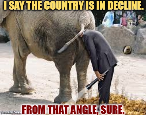 Republicans can only get people to vote for them by frightening them. | I SAY THE COUNTRY IS IN DECLINE. FROM THAT ANGLE, SURE. | image tagged in a republican in search of ideas - elephant flashlight,republicans,incompetence,elephant,silly | made w/ Imgflip meme maker