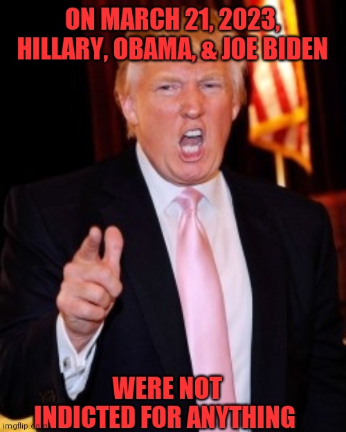 Donald Trump | ON MARCH 21, 2023, HILLARY, OBAMA, & JOE BIDEN; WERE NOT INDICTED FOR ANYTHING | image tagged in donald trump | made w/ Imgflip meme maker